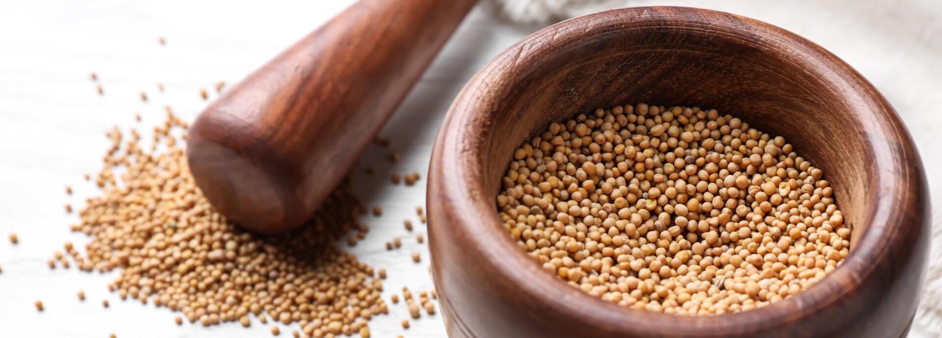 Processing mustard into mustard paste Mustard Maker